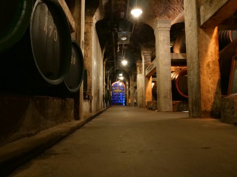 Ein Korridor im Keller vom Bremer Ratskeller. Der Korridor führt zur sogenannten Schatzkammer.